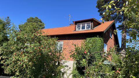 Takläggning Dvärgstigen